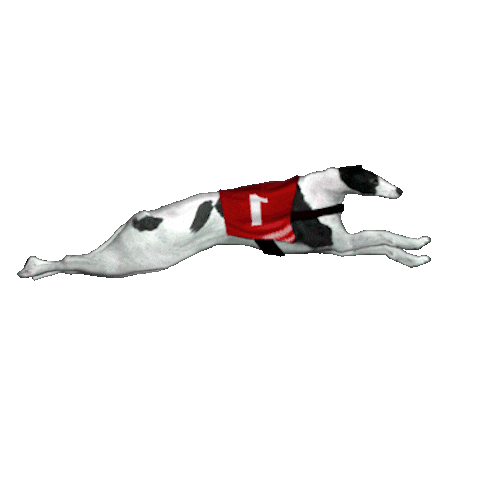Greyhound | Gold365