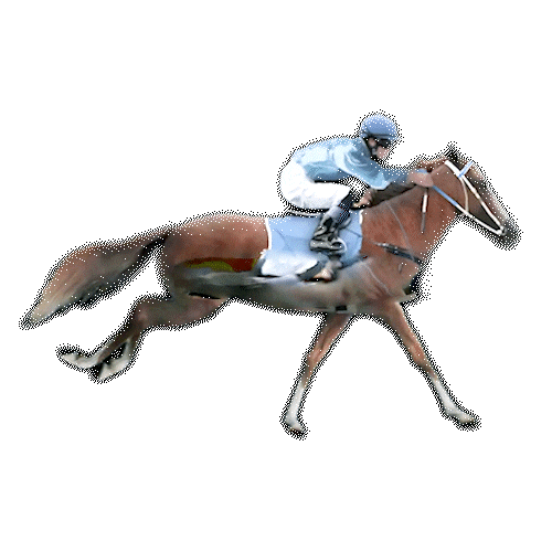 Horse racing | Gold365